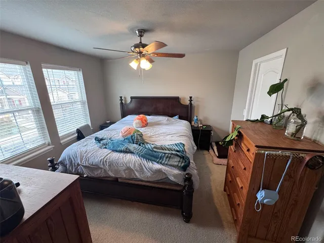 a bedroom with two beds and a window