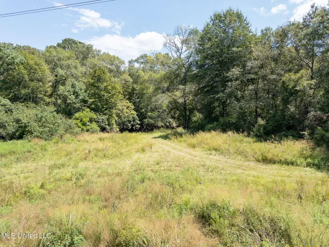 $55,315 | 8.51-acres WPA Road, Sumrall, MS 39482