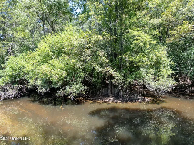 $55,315 | 8.51-acres WPA Road, Sumrall, MS 39482