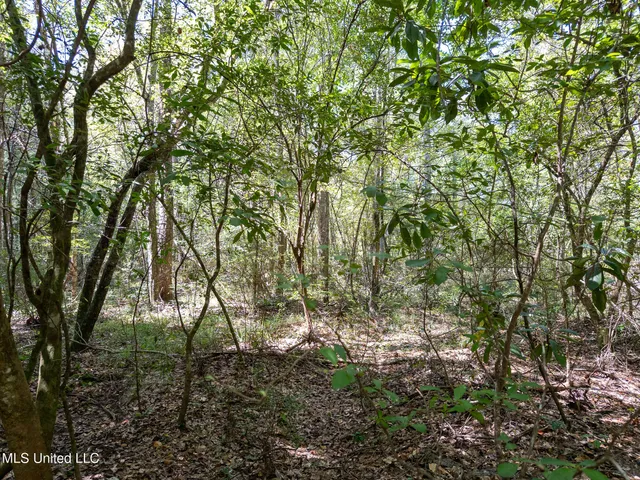 $55,315 | 8.51-acres WPA Road, Sumrall, MS 39482