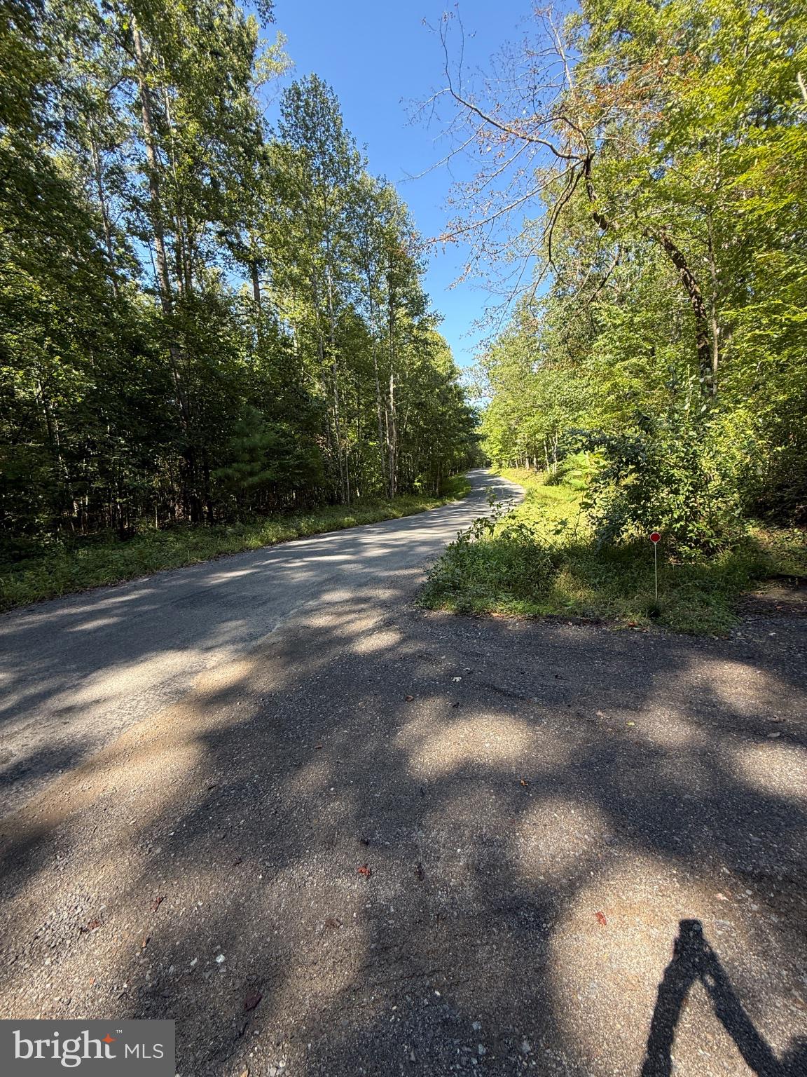 9047 Settle School Road Rixeyville, VA 22737 - Photo 8 of 12 Quiet country lane