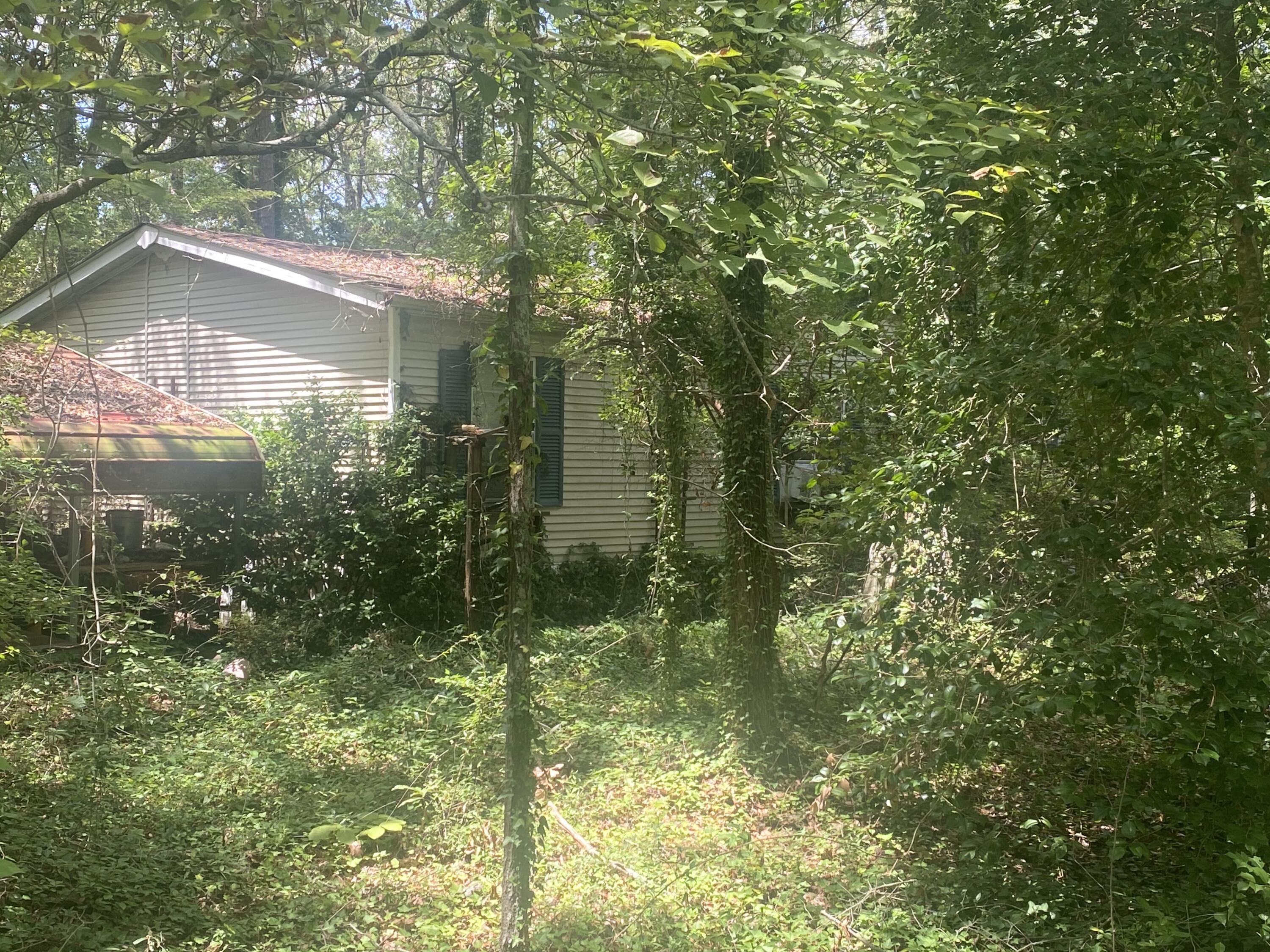723 Bethcar Church Road Wagener, SC 29164 - Photo 11 of 16