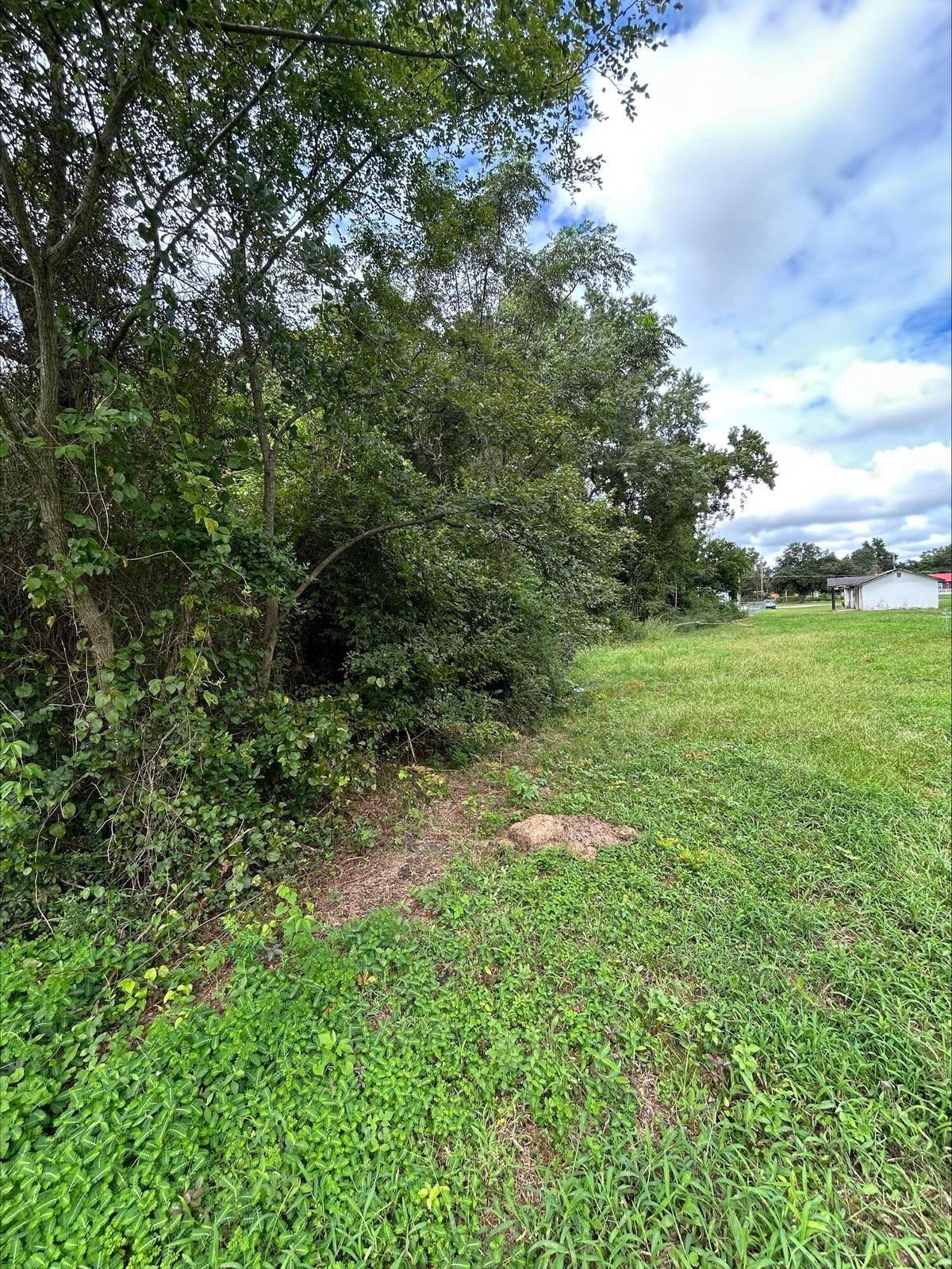 0 Hall Street Summerton, SC 29148 - Photo 3 of 6 20260226143852187646000000-o