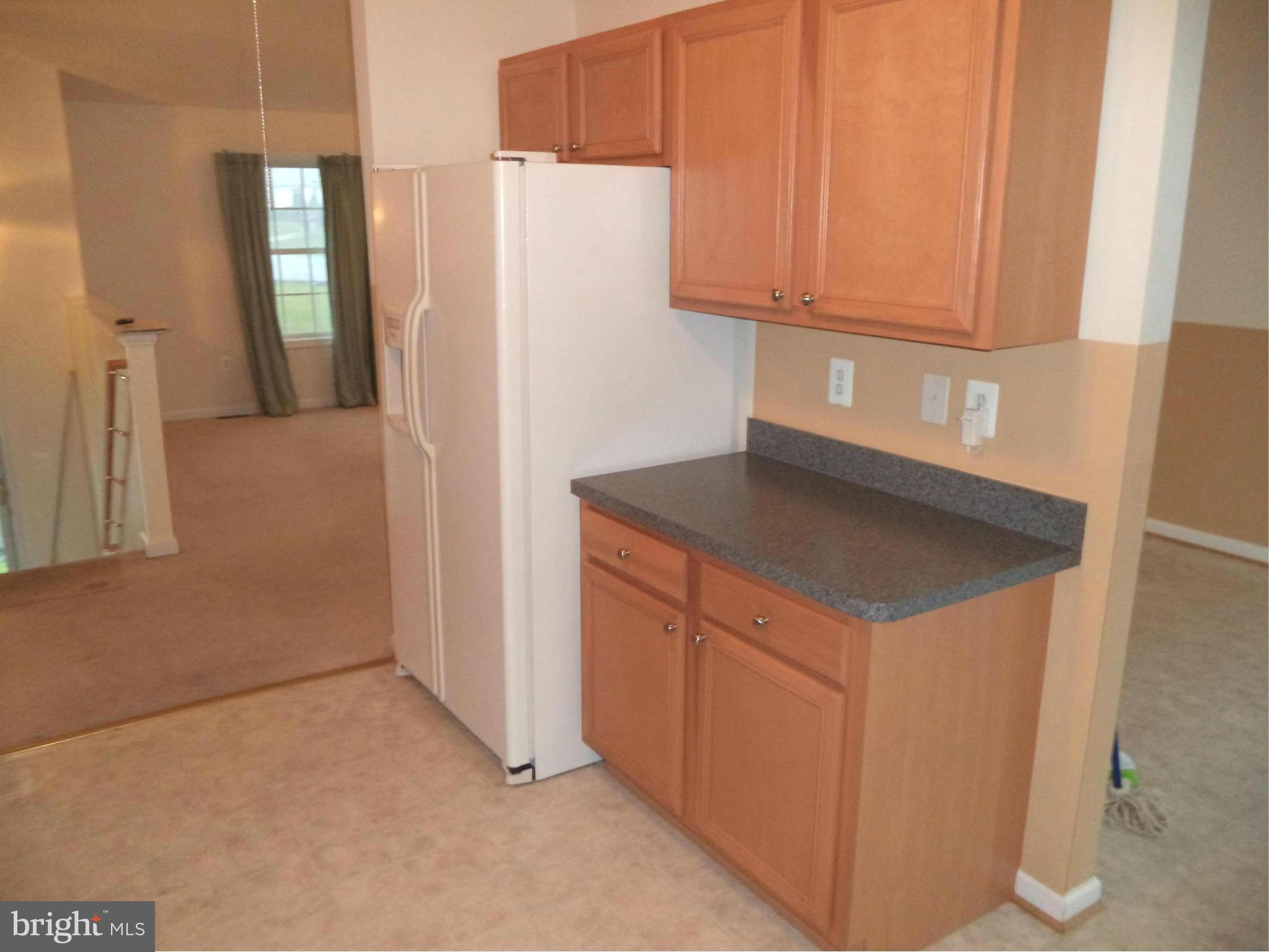 80 Ford Inwood Wv 25428 Inwood, WV 25428 - Photo 12 of 24 a kitchen with a refrigerator and a cabinets