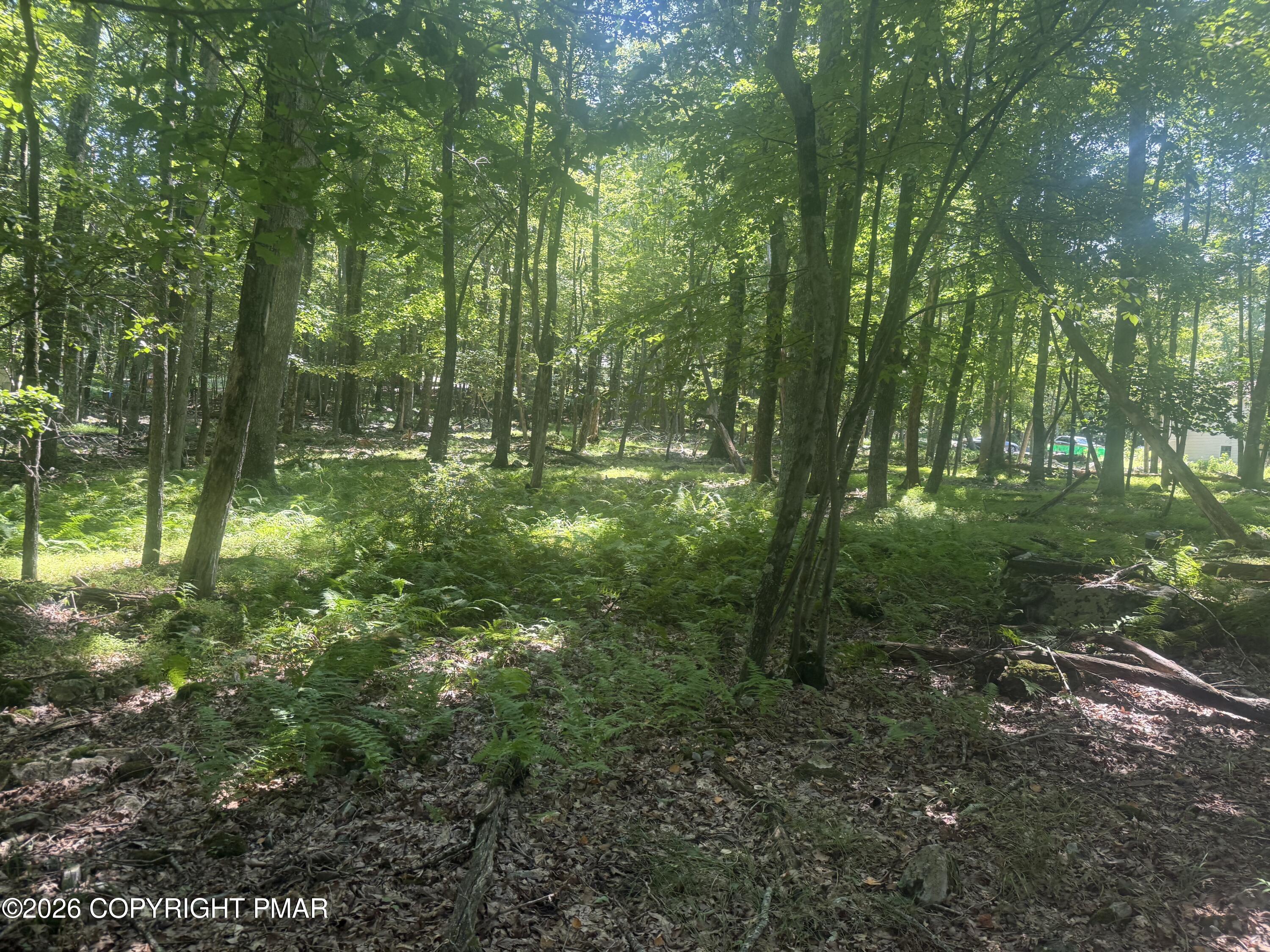 2111 Spring Drive Bushkill, PA 18324 - Photo 27 of 28 IMG_1501