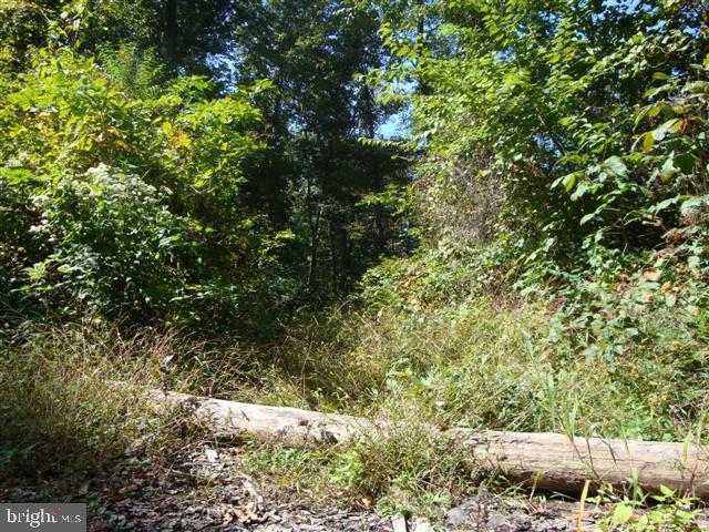 0 Tower Road, Unit 6 York, PA 17406 - Photo 1 of 4 Gallery Image 1