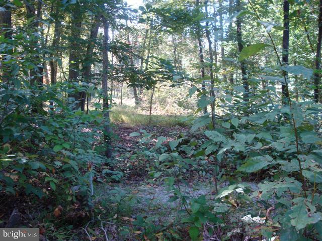 0 Tower Road, Unit 6 York, PA 17406 - Photo 3 of 4 Gallery Image 3