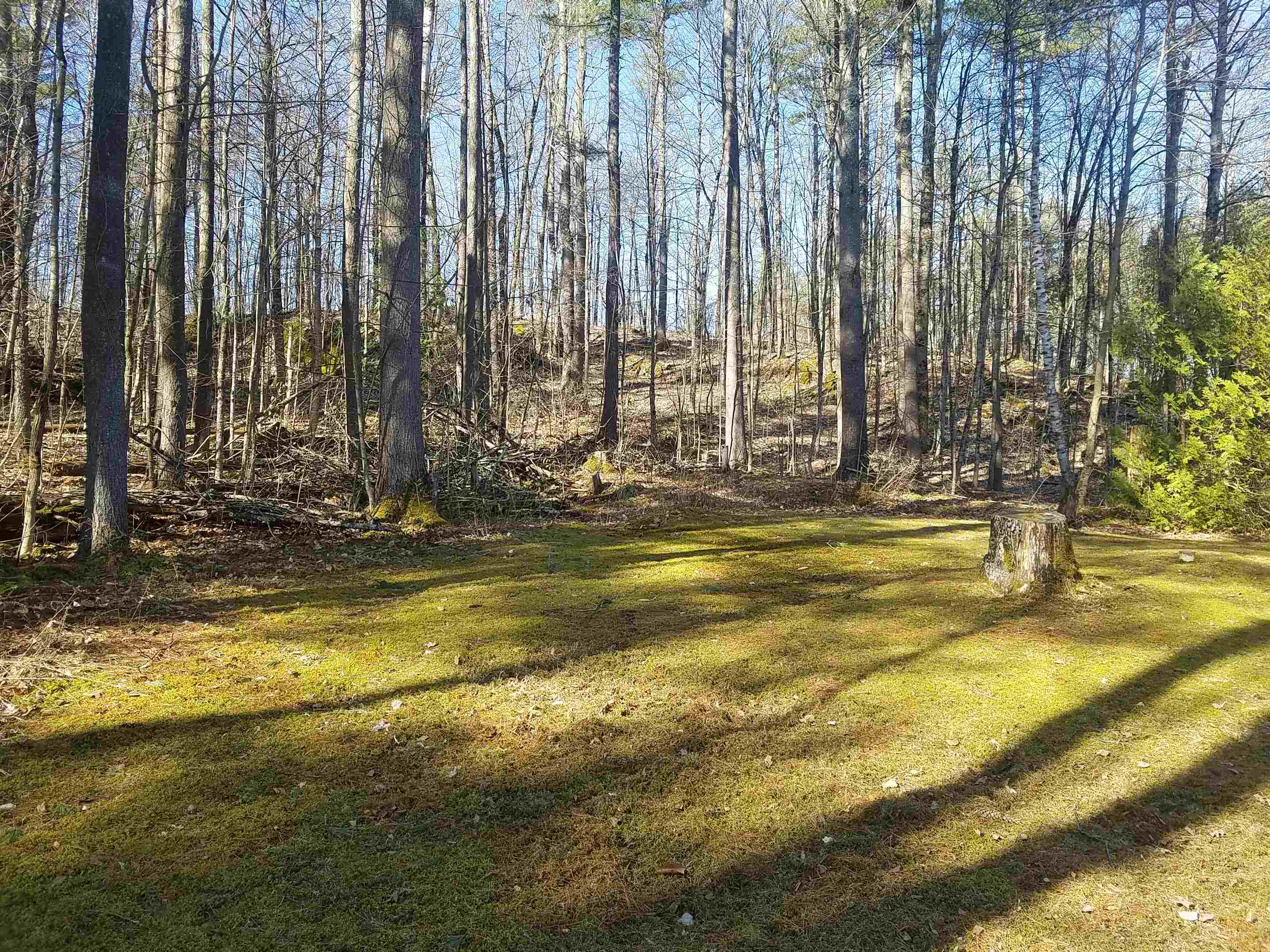 1488 Fern Lake Road Leicester, VT 05733 - Photo 3 of 18 Gallery Image 3
