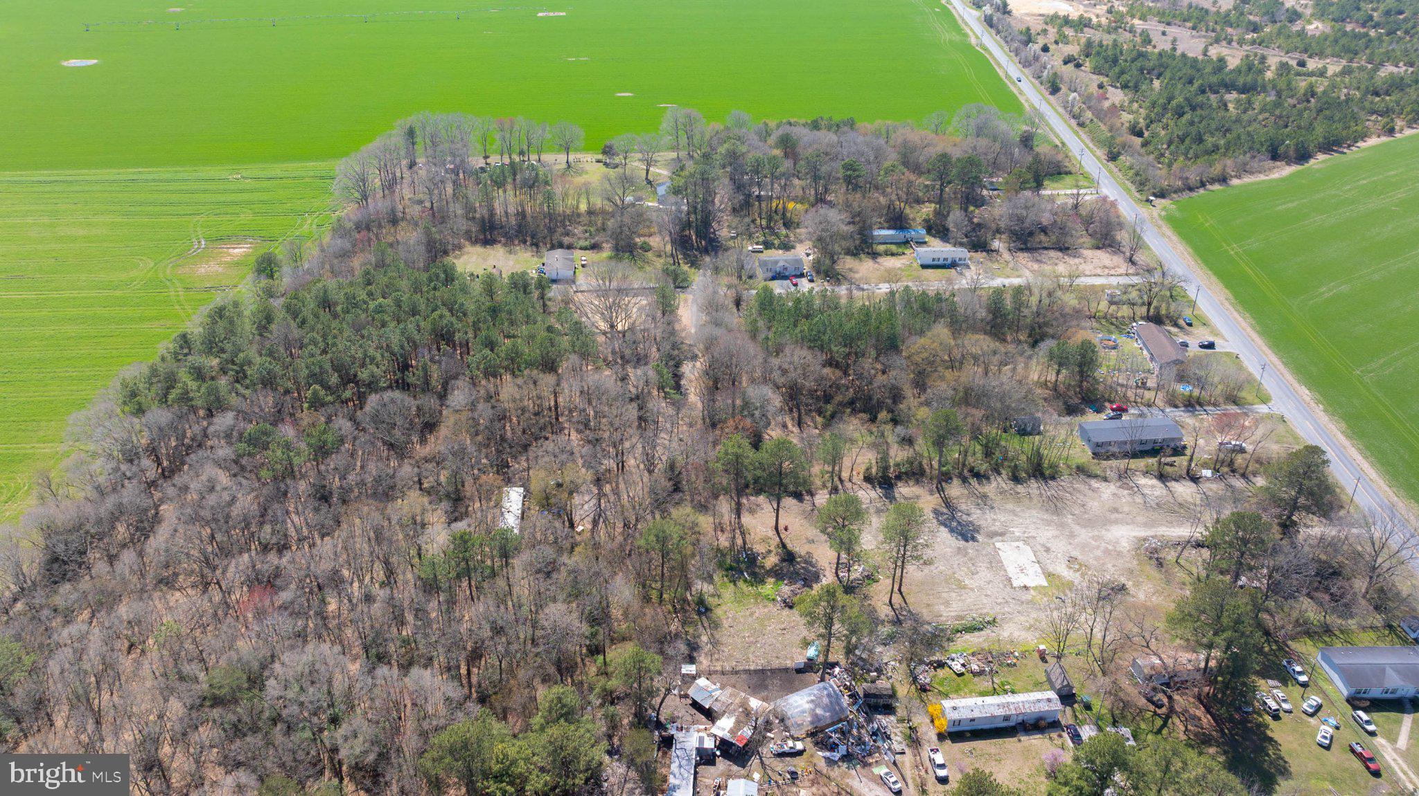 0 Coverdale Road Bridgeville, DE 19933 - Photo 3 of 6 Expansive land with lush surroundings.