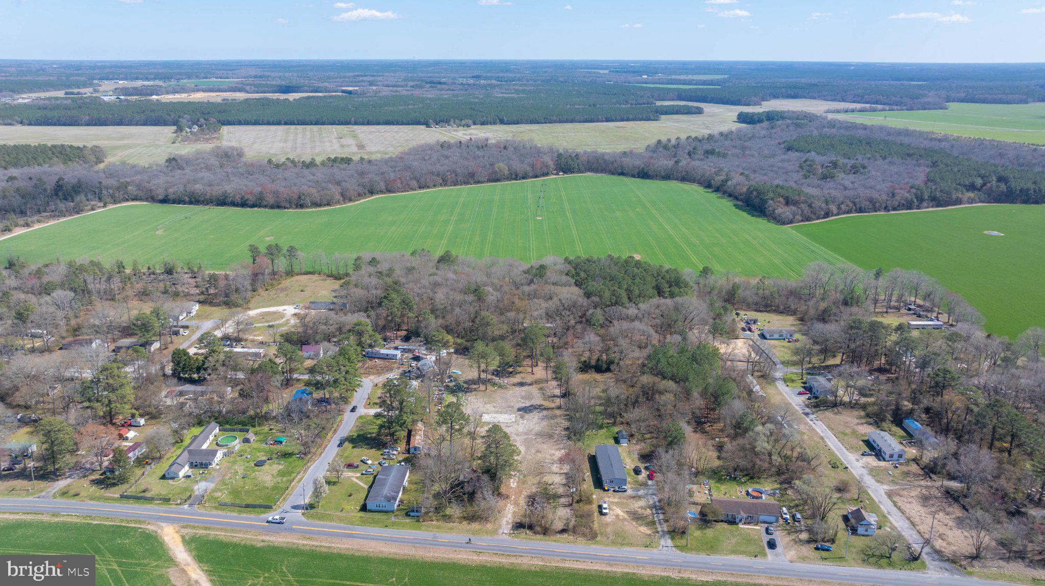 0 Coverdale Road Bridgeville, DE 19933 - Photo 4 of 6 Serene countryside community view.