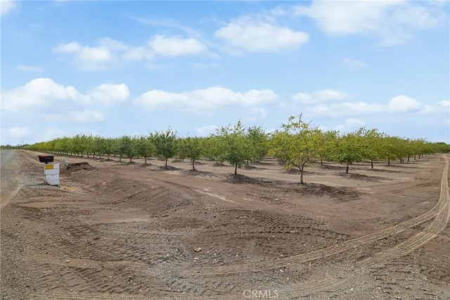 $1,275,000 | 4705 1st Avenue, Orland, CA 95963