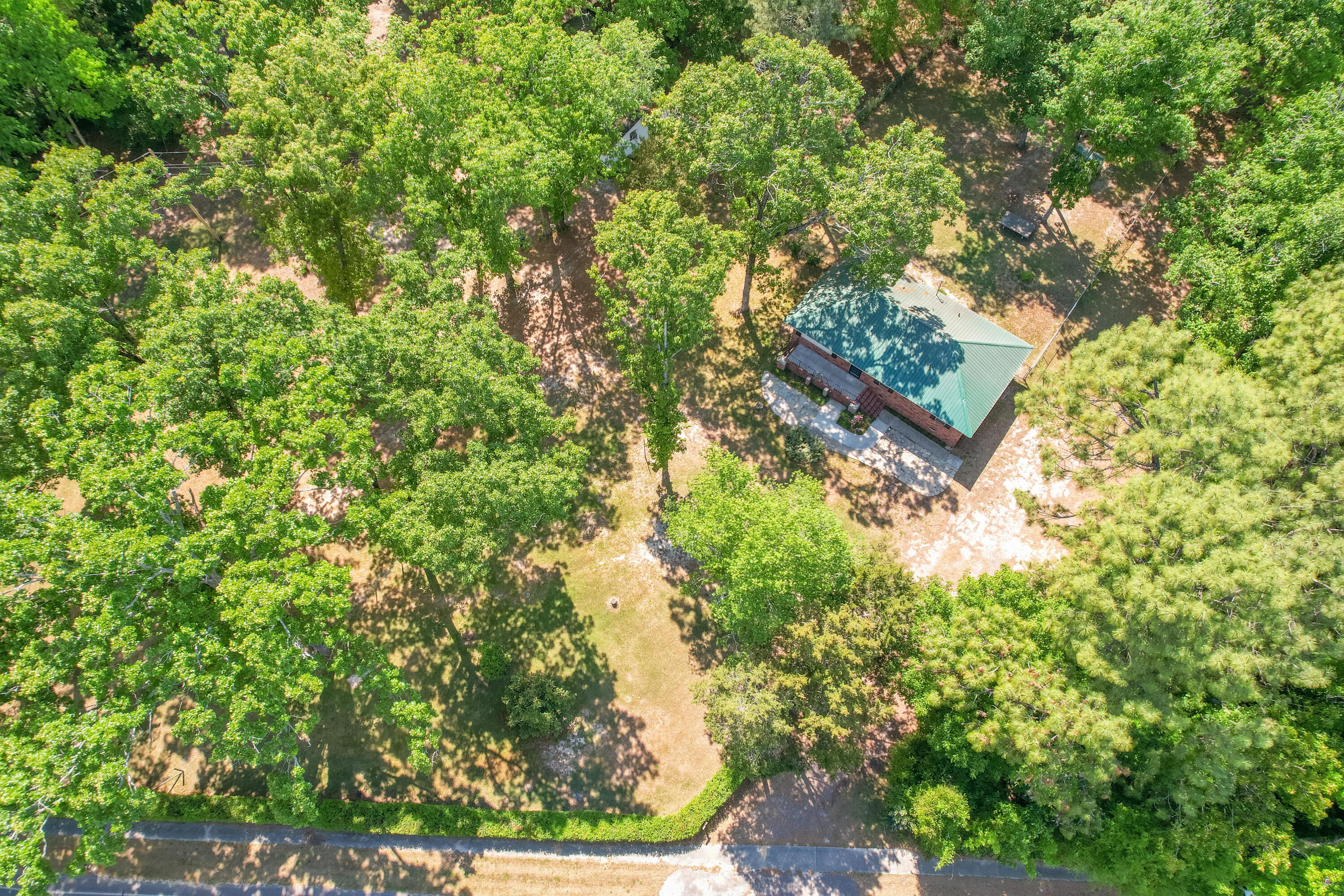 800 Old Whiskey Road South New Ellenton, SC 29809 - Photo 2 of 31 a view of a yard