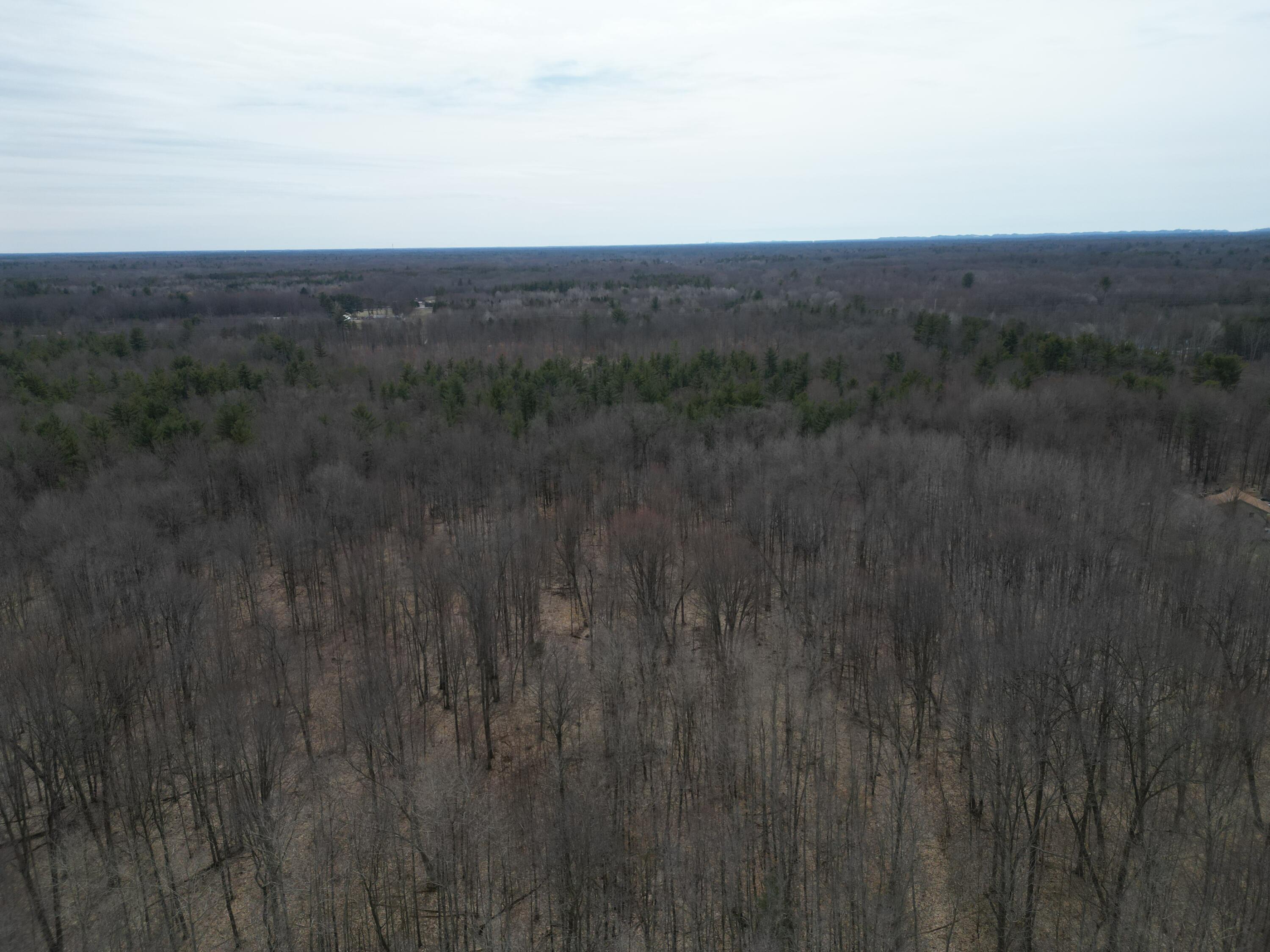 5371 Jensen Road Fruitport, MI 49415 - Photo 11 of 11 DJI_0869