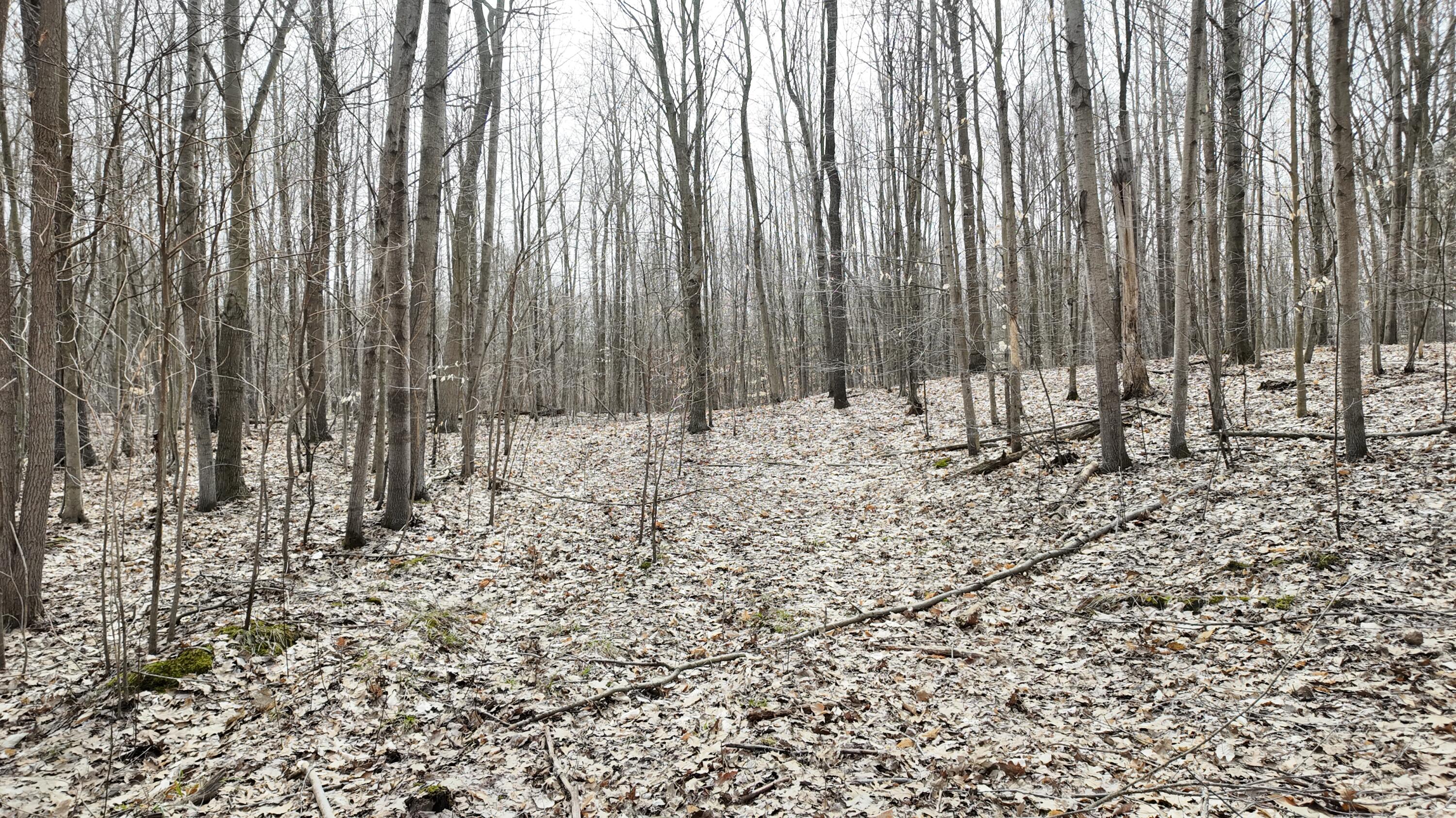 5371 Jensen Road Fruitport, MI 49415 - Photo 3 of 11 DJI_20260324145555_0937_D