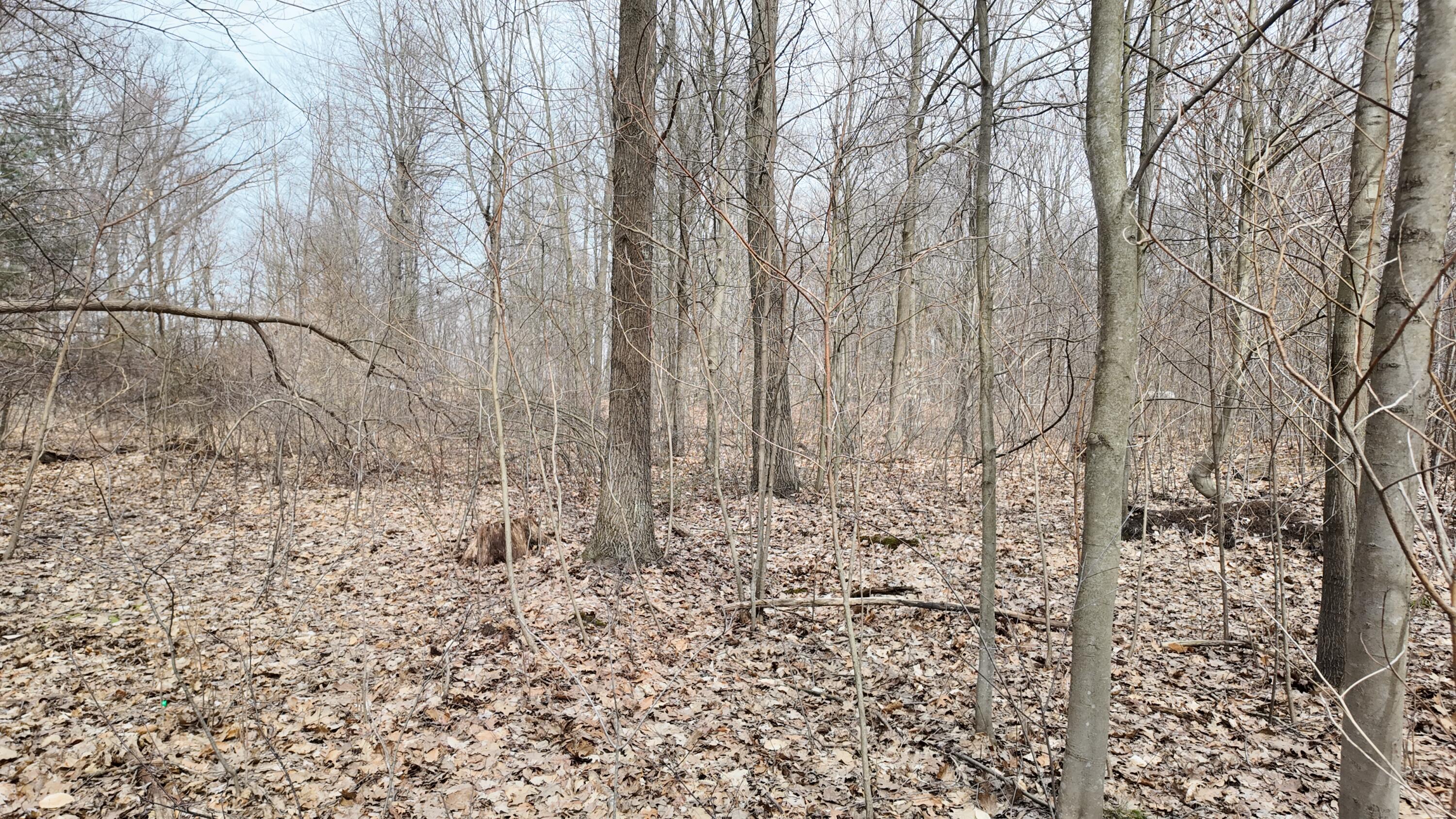 5371 Jensen Road Fruitport, MI 49415 - Photo 4 of 11 DJI_20260324145610_0939_D