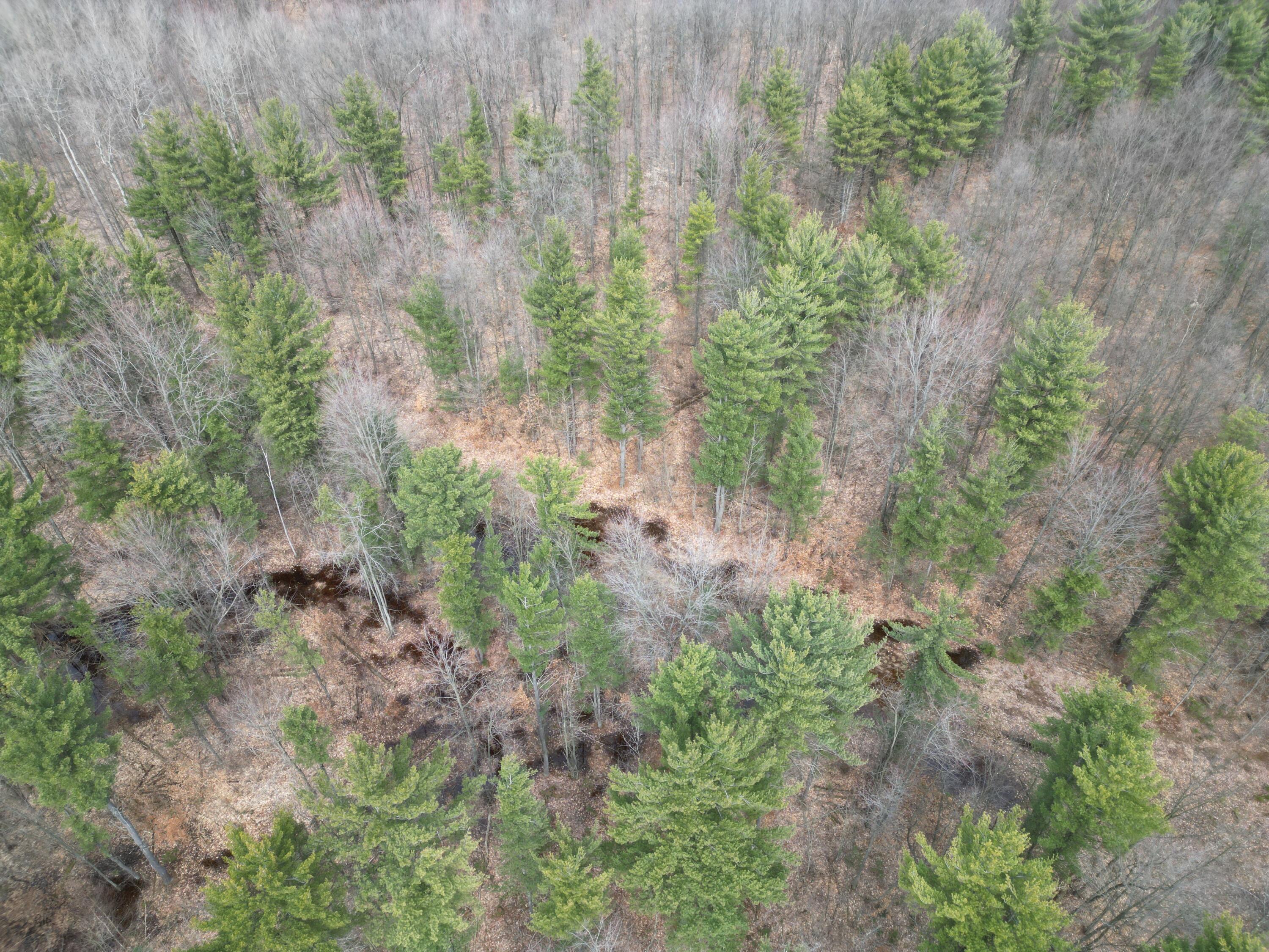 5371 Jensen Road Fruitport, MI 49415 - Photo 6 of 11 DJI_0873