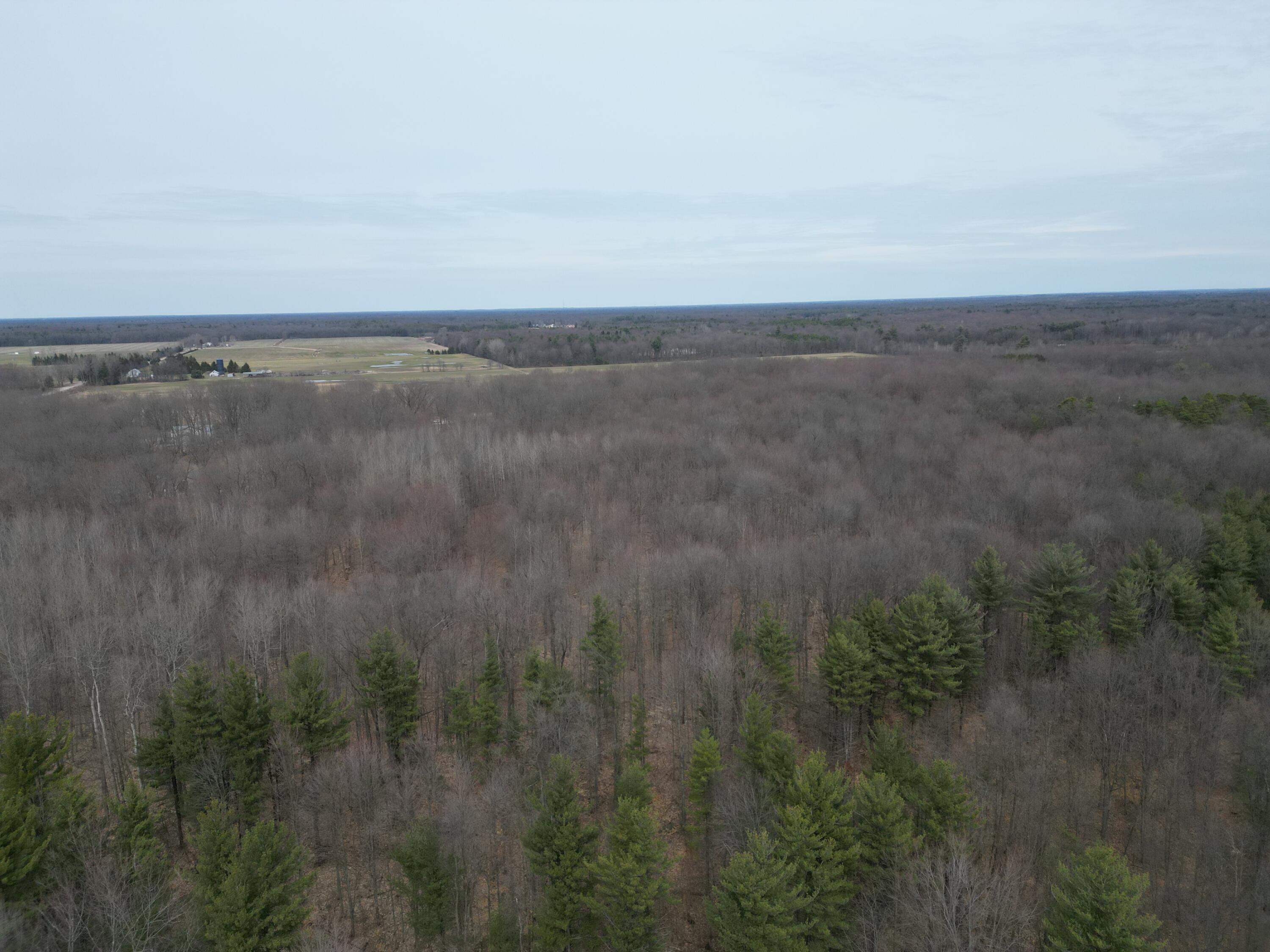 5371 Jensen Road Fruitport, MI 49415 - Photo 9 of 11 DJI_0872