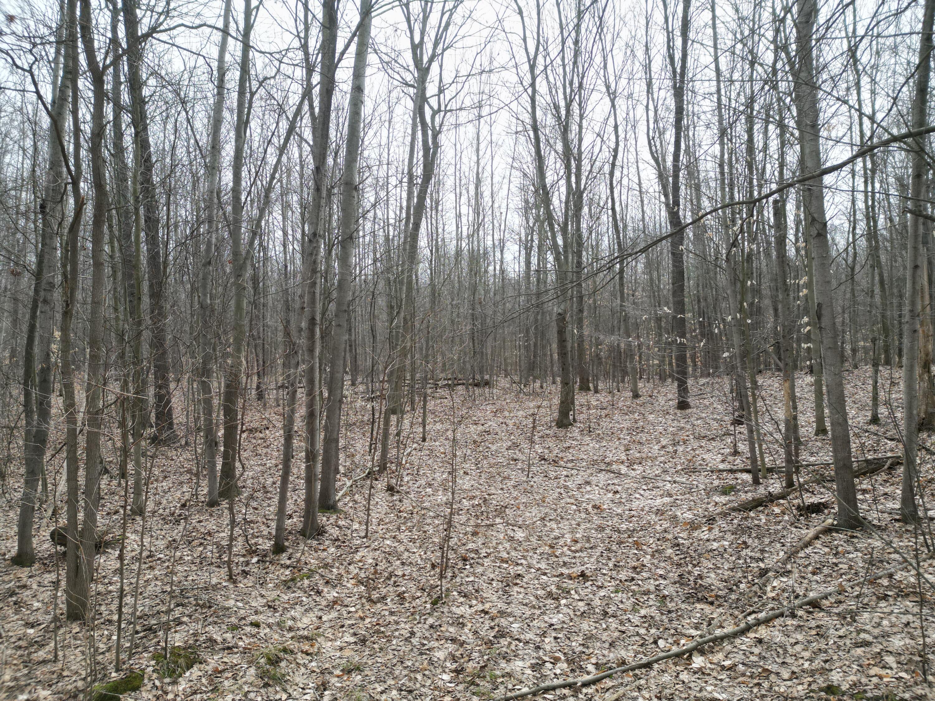 5371 Jensen Road Fruitport, MI 49415 - Photo 10 of 11 DJI_0867