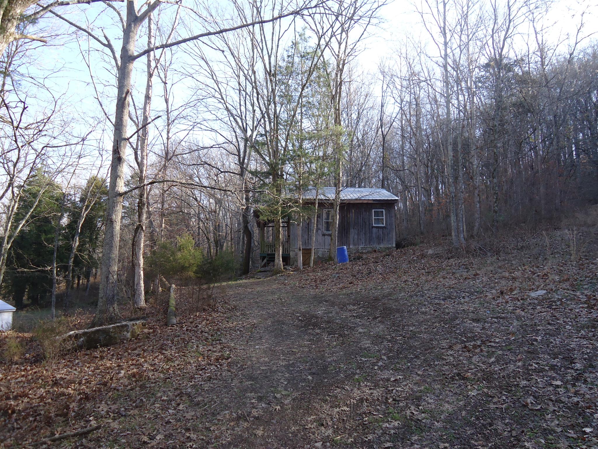 8101 Prospect Road Prospect, TN 38477 - Photo 12 of 26 a view of a house with backyard and trees