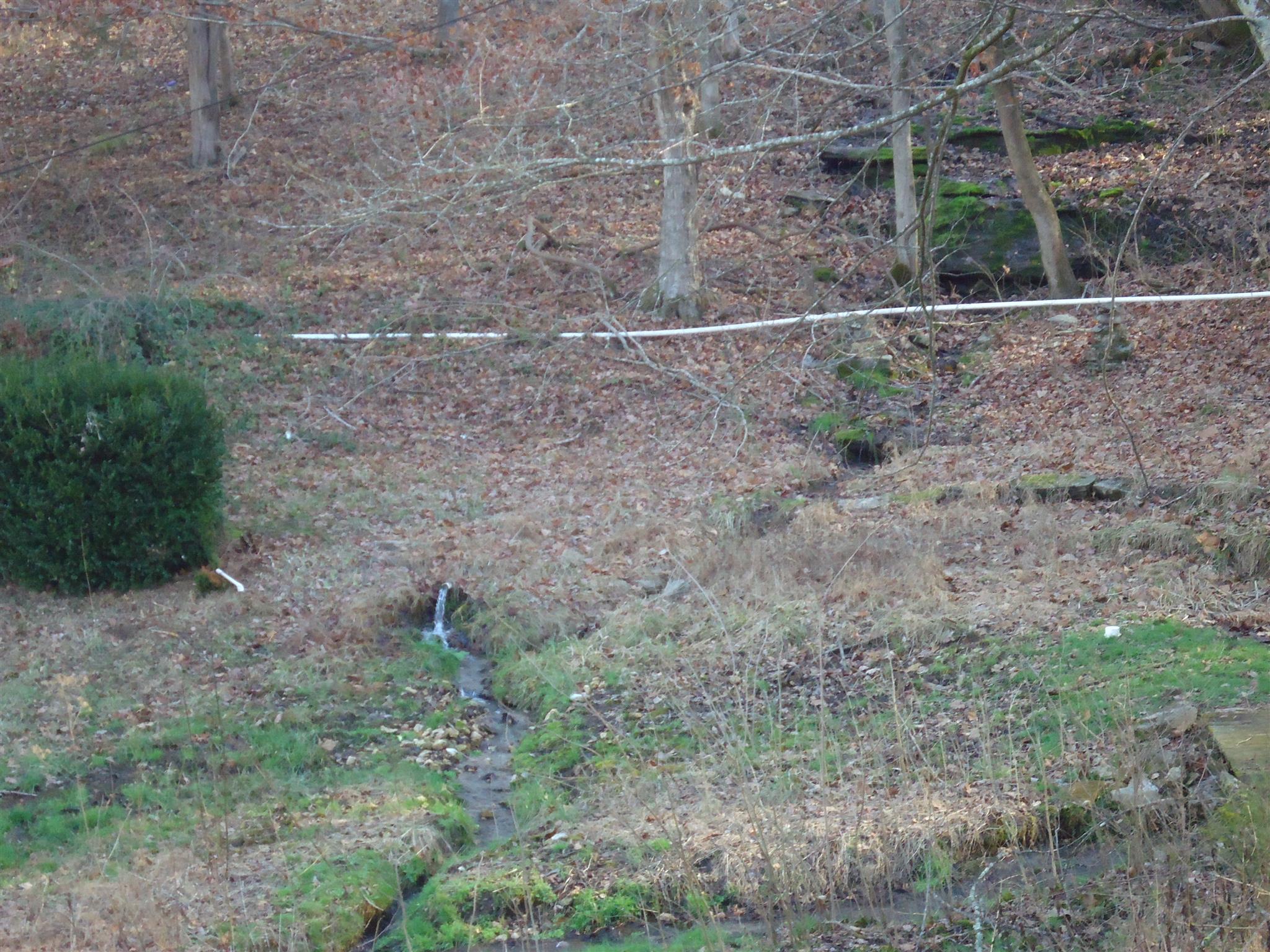 8101 Prospect Road Prospect, TN 38477 - Photo 6 of 26 a view of a dry yard with trees and stairs