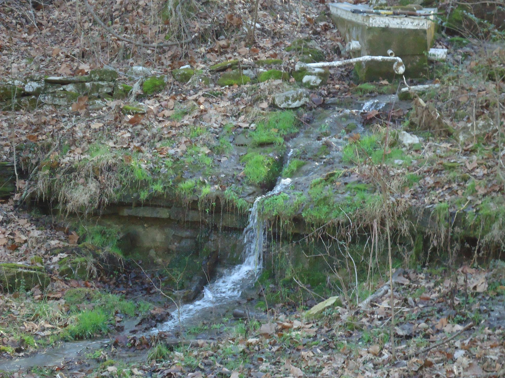 8101 Prospect Road Prospect, TN 38477 - Photo 7 of 26 a view of a lake with a forest