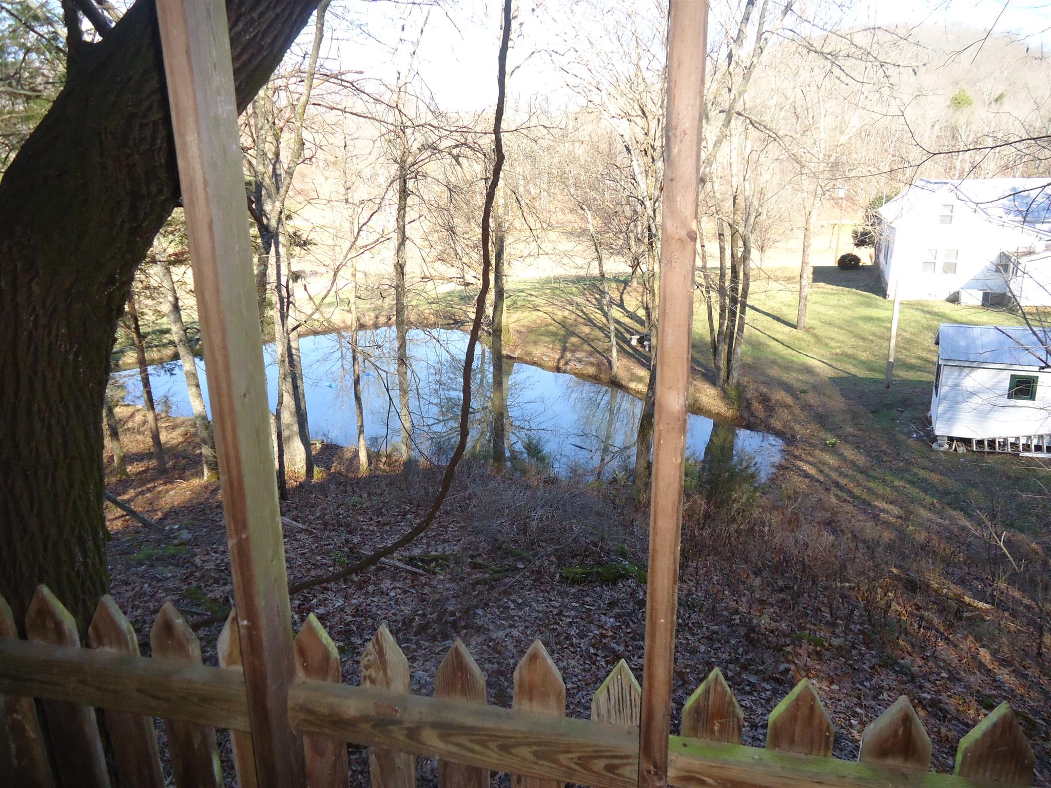 8101 Prospect Road Prospect, TN 38477 - Photo 10 of 26 a view of a back yard