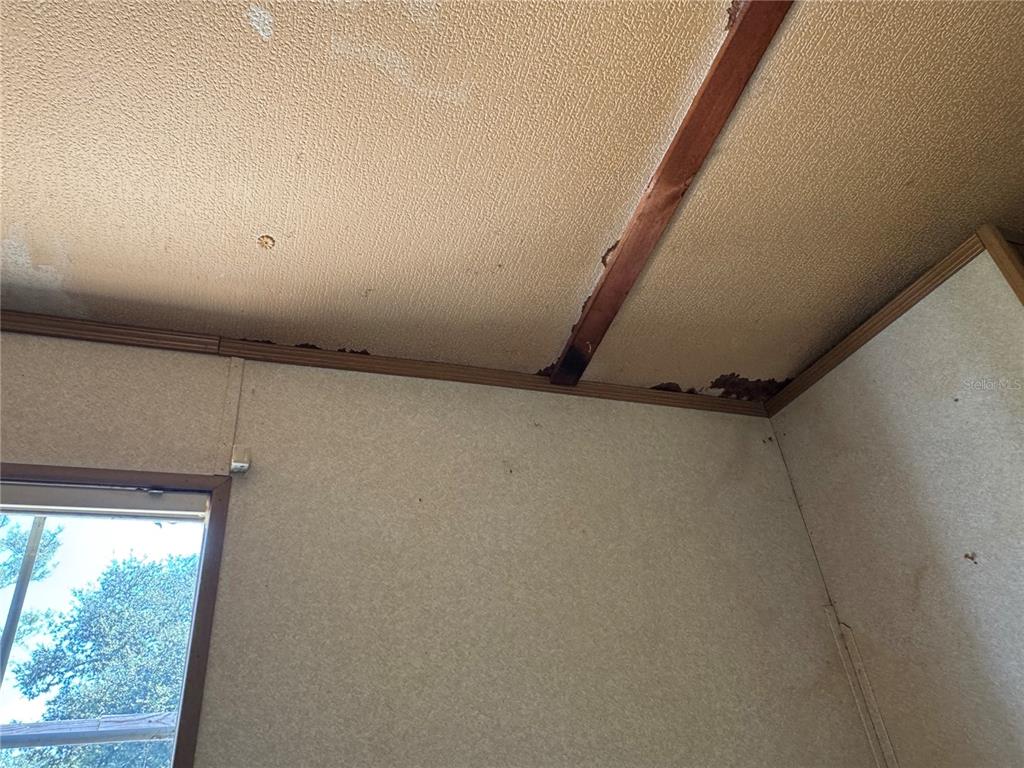 6001 185th Road Live Oak, FL 32060 - Photo 50 of 79