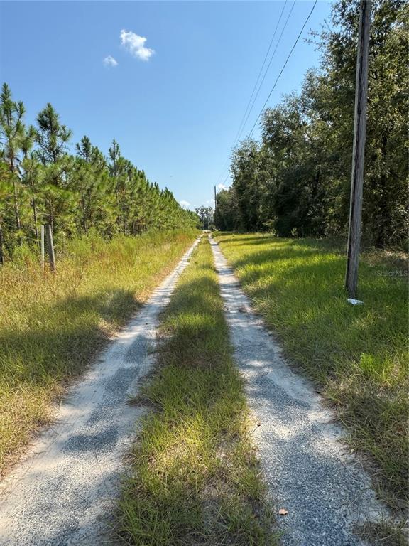 6001 185th Road Live Oak, FL 32060 - Photo 64 of 79