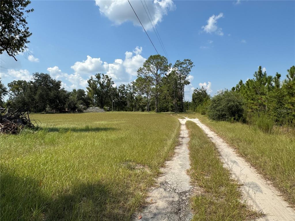 6001 185th Road Live Oak, FL 32060 - Photo 65 of 79