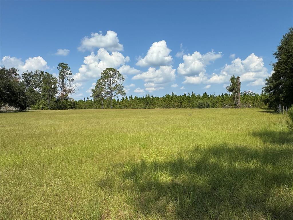 6001 185th Road Live Oak, FL 32060 - Photo 68 of 79