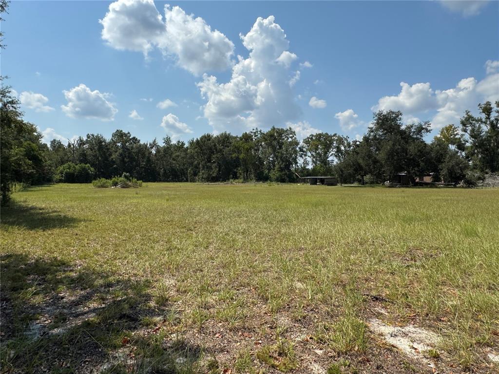 6001 185th Road Live Oak, FL 32060 - Photo 69 of 79