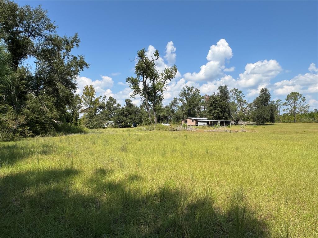 6001 185th Road Live Oak, FL 32060 - Photo 72 of 79