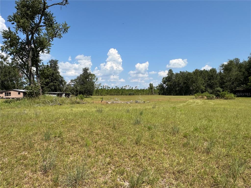 6001 185th Road Live Oak, FL 32060 - Photo 73 of 79