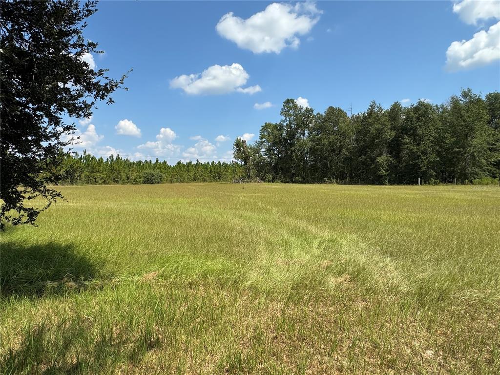 6001 185th Road Live Oak, FL 32060 - Photo 77 of 79