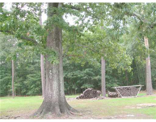 30245 Huff Chapel Road Springfield, LA 70462 - Photo 8 of 13