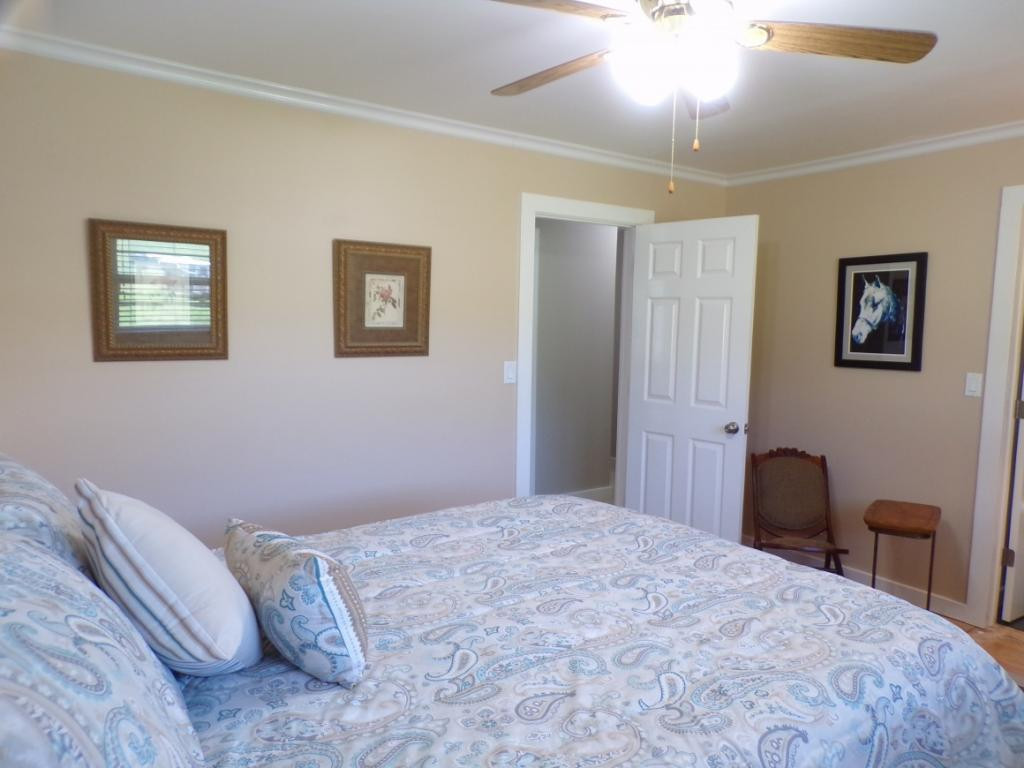 727 Hospital Road Mountain City, TN 37683 - Photo 16 of 36 MASTER VIEW TWO