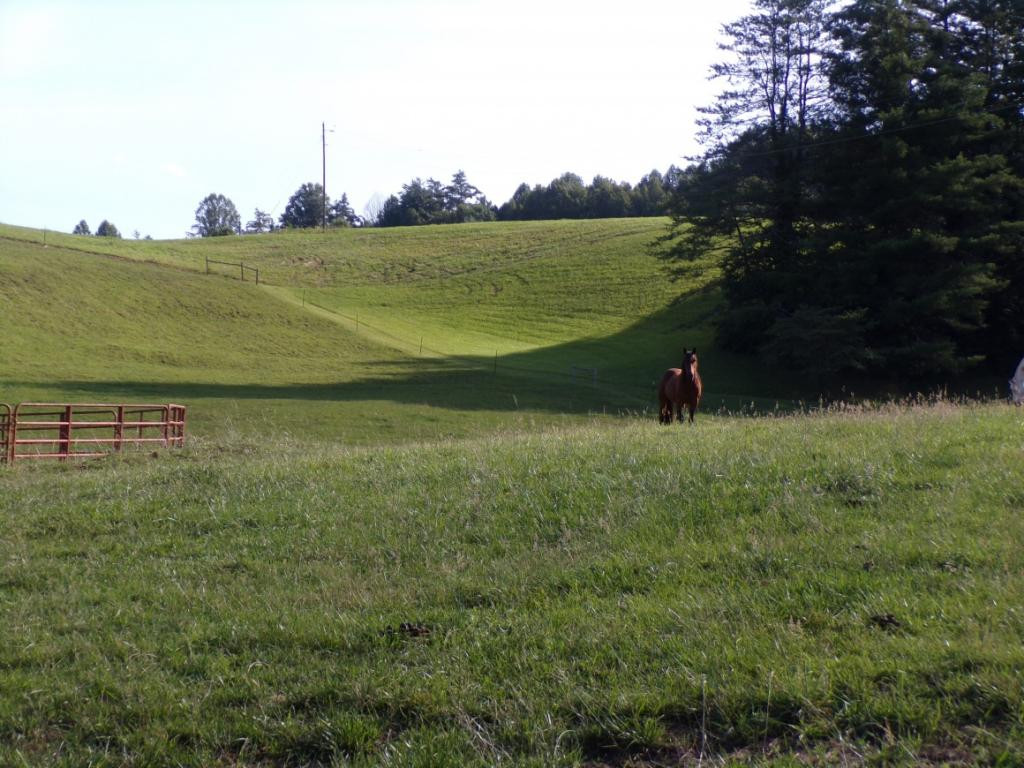 727 Hospital Road Mountain City, TN 37683 - Photo 30 of 36 FENCED PASTURE