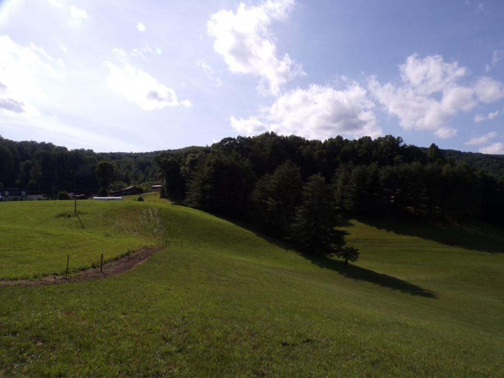 727 Hospital Road Mountain City, TN 37683 - Photo 33 of 36 WELL MAINTAINED PASTURES