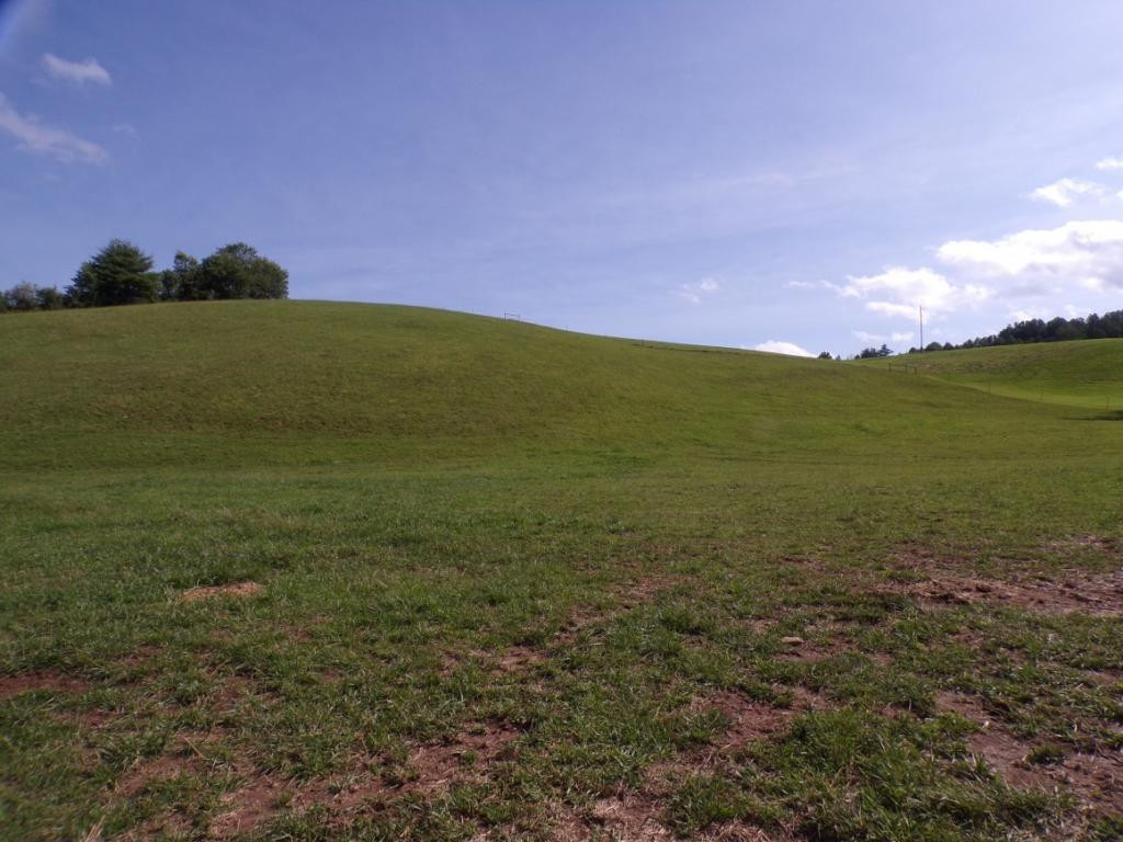 727 Hospital Road Mountain City, TN 37683 - Photo 5 of 36 560 ACRES PASTURE
