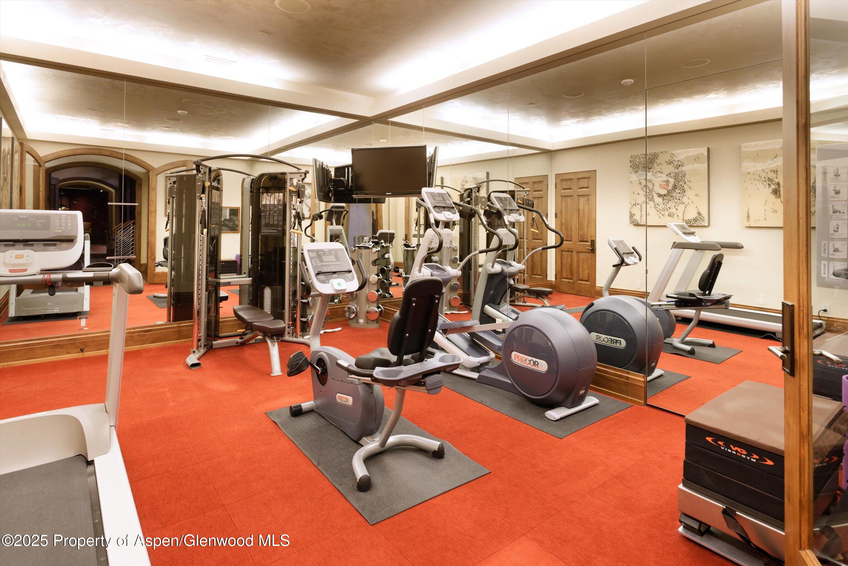 220 Buttermilk Lane Aspen, CO 81611 - Photo 22 of 60 a view of a room with gym equipment