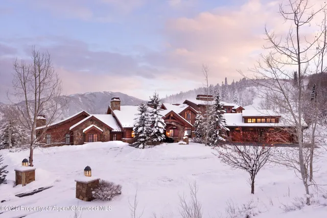 a view of a dry yard with green space