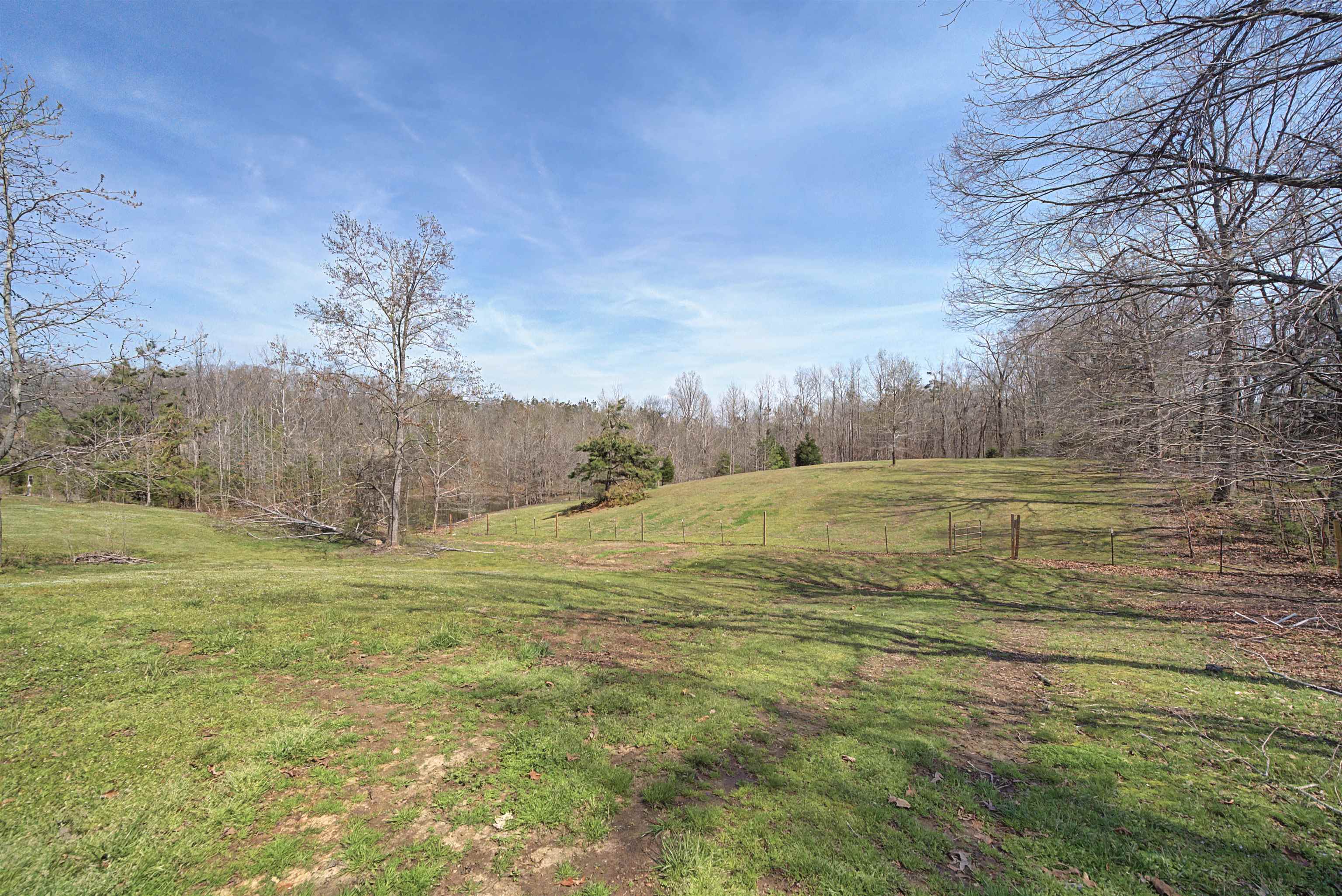 7010 22nd Highway Adamsville, TN 38310 - Photo 23 of 33 View of green lawn with a rural view and a forest view