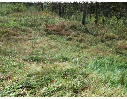 0 Lynn Fork Road Elkview, WV 25071 - Photo 11 of 15 Land.