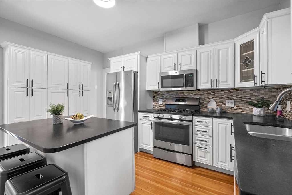 68 Parkton Road, Unit 2 Boston, MA 02130 - Photo 8 of 34 Gallery Image 8