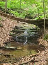 a view of a water fountain