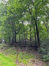 1649 Moss Patch Trail Jasper, GA 30143 - Photo 16 of 18 a view of a yard with trees