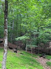 1649 Moss Patch Trail Jasper, GA 30143 - Photo 4 of 8 a view of a backyard with a garden