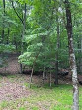 1649 Moss Patch Trail Jasper, GA 30143 - Photo 5 of 8 a backyard of a house with lots of green space