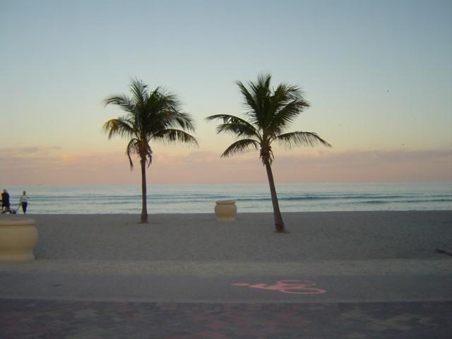 511 South Surf Road Hollywood, FL 33019 - Photo 2 of 2 a view of ocean with a palm tree
