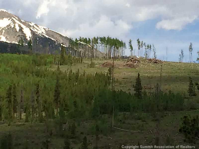 304 Blue Ridge Road Breckenridge, CO 80424 - Photo 6 of 22 Gallery Image 6